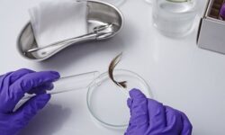 Use of hair drug testing over urinalysis a step closer to implementation