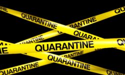 Pennsylvania designated 13-county agricultural quarantine zone