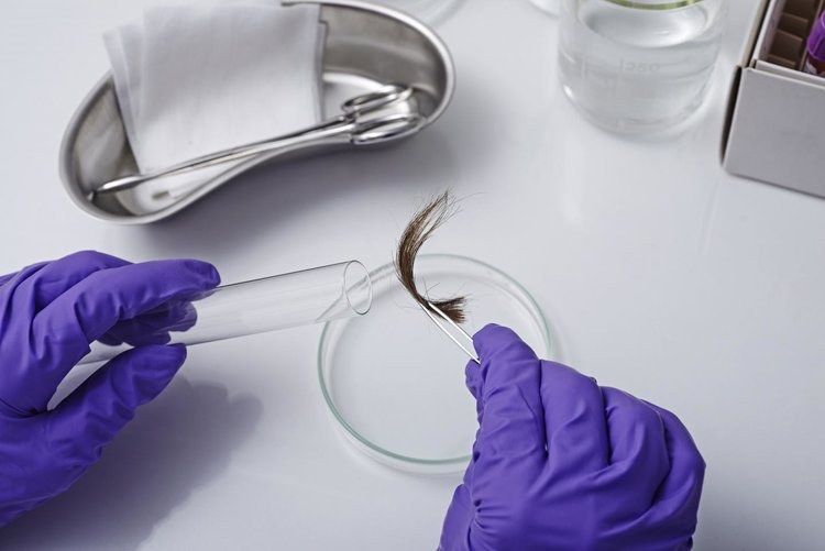 Use of hair drug testing over urinalysis a step closer to implementation