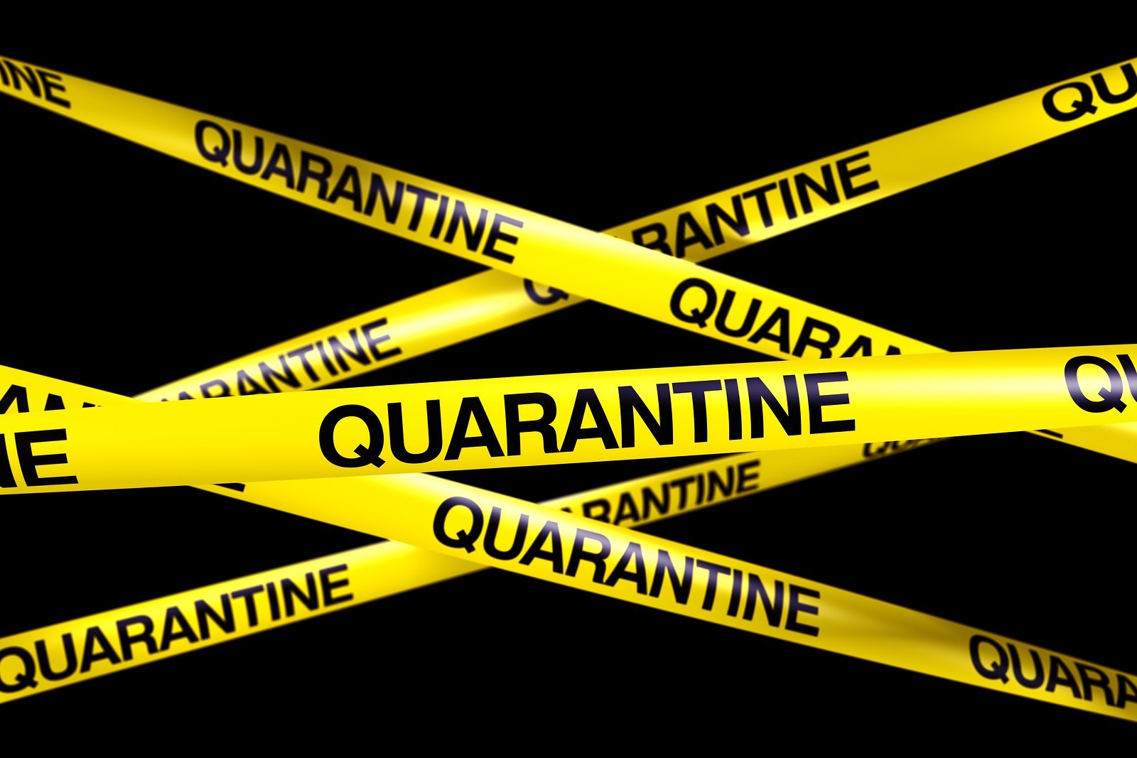 Pennsylvania designated 13-county agricultural quarantine zone